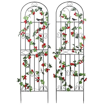 Macteyia 2 Pack 70.8" H x 19.7" W Metal Garden Trellis with Black Coating, Wire Lattice Grid Panel for Climbing Plants Outdoor Roses Vine Cucumbers Vegetables Flower Support