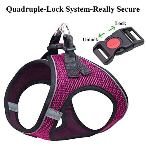 Balabuki Cat Harness Vest For Small And Medium Cats No Pull, Easy Walk Soft Step In Escape Proof Reflective Harness And Leash Set, Xxs Pink #TOP3