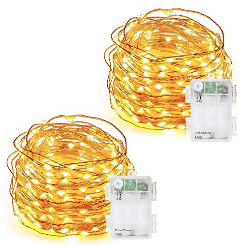String Lights, DecorNova 2 Set of 19.7ft 60 LEDs IP44 Waterproof Super Bright Copper Wire Rope Lights with Timer for Home Bedroom Party Tree, 3AA Battery Case, Warm White