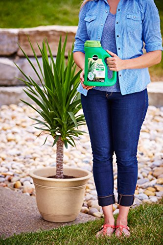 Miracle-Gro Fertilizante Granulado para Palmas 3002910 miniatura 3