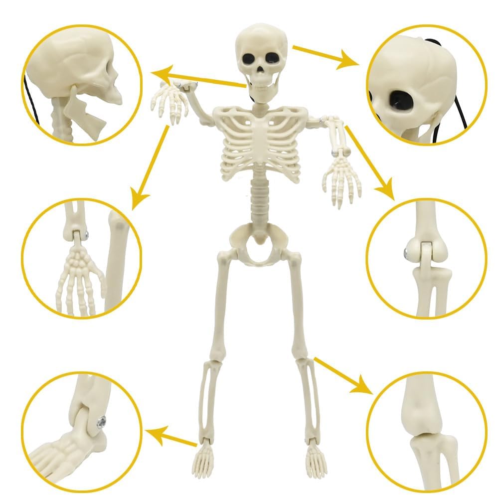 CAMIRUS 5 sztuk dekoracji szkieletowych na Halloween, 40 cm, mini szkielety na całe ciało, z możliwymi połączeniami, na podwórko, ogród, trawnik, patio, upominki i dekoracje imprezowe, 5 szt