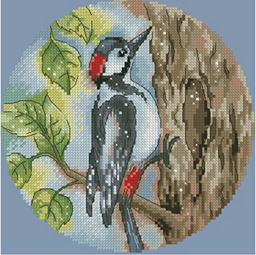 Broderie diamant 5D pivert pour illuminer votre salon ce week-end