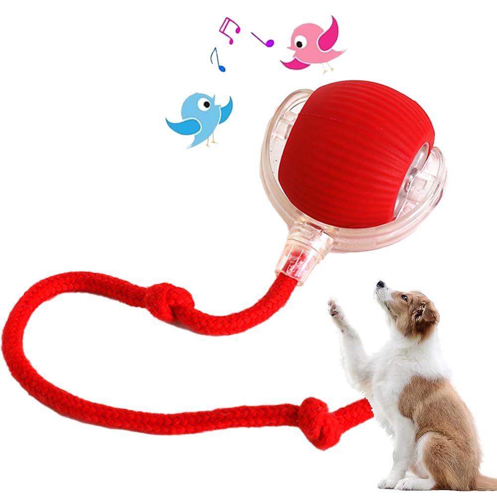 Vgpbphj Pelota rodante interactiva para perros, bola rodante automática 2024 para perros, juguete eléctrico para perros, juguetes para perros pequeños y medianos (rojo)
