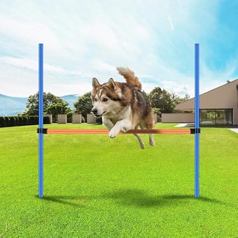 PAWISE Dog Training Exercise Equipment Cover