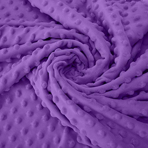 Pro Goleem Baby Soft Minky Dot Blanket With Silky Satin Backing Baby Gifts For Boys And Girls (Purple, 30’’ X 40’’) #TOP4