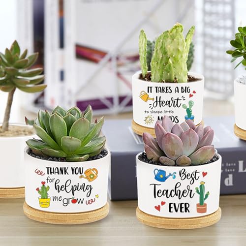 Pots de fleurs en céramique pour décorer un bureau d'enseignant avec style - 7