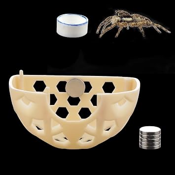 DQITJ Jumping Spider Hidden House Tarantula Enclosure Accessories with Magnet and Water Bowl for Tarantula Insect Praying Mantis Jumping Spider Stick Insect
