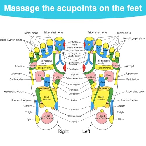 LUFEIS Foot Massage Mat, Acupressure Mat, Reflexology Mat, Foot Massage Acupoint Mat, Imitation Cobblestone Acupuncture Mat for Relieves Body Foot Leg Pain and Fatigue (175 x 35cm) - Image 4