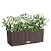 Lechuza Balconera Cottage 50 - All-In-One, Mocha