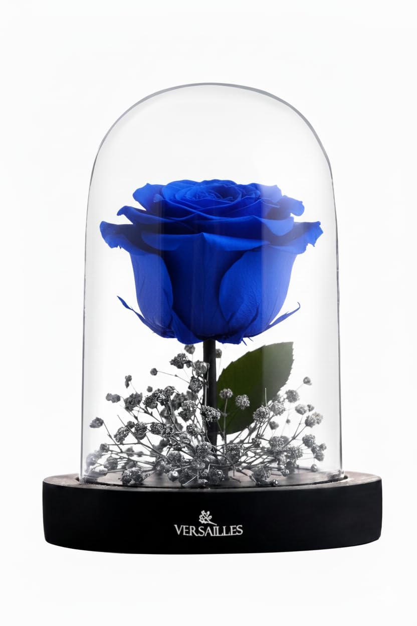 Versailles Preserved Blue Rose in Glass Dome | Black Wooden Base with Silver Gypso | Long Lasting Infinity Rose Anniversary, Birthday or Valentine’s Day-image-46