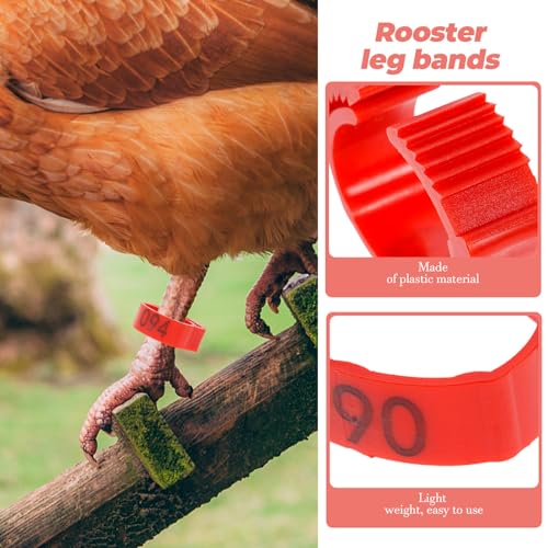Bagues d'identification pour poules au poulailler familial