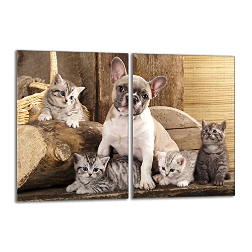 DarHaus Tabla de cortar decorativa de cristal templado y cubre vitro, Placa protectora de vitrocerámica 40 x 52 cm 2 piezas, para inducción, protección contra salpicaduras, decoración, PERRO
