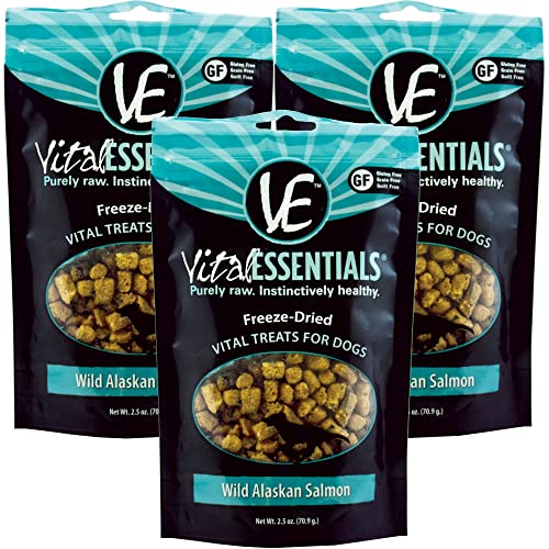 Unleash Your Dog's Energy with These Top 10 VitalityBoosting Dog Foods