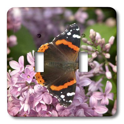 Interrupteur double à bascule fleur pour remplacer une plaque terne