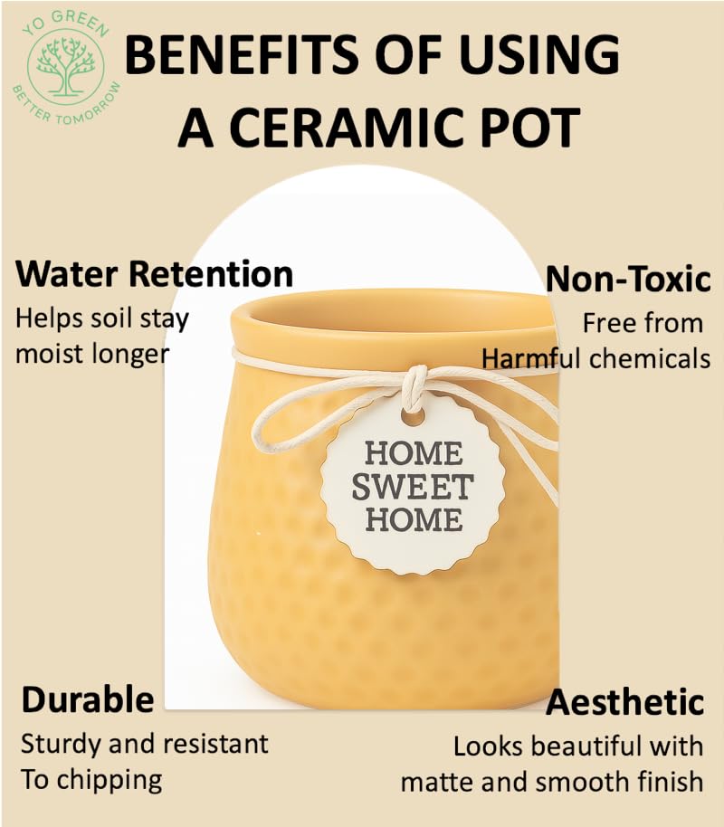 Image of Yo Green Ceramic Plant Pot for Indoor & Outdoor, Modern Planter for Home & Office Decor, Durable, Stylish Finish, Ideal for Tabletop, Shelf, Balcony, Great Gift Idea (Yellow, 4 Inches)