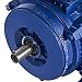 Mophorn Motor Trifásico Motor Eléctrico Estándar 400V 0.25kw Tipo B3 1 /...