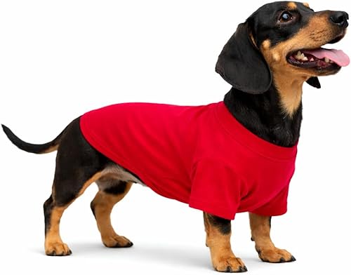 Miniatura 57 de Lovelonglong Ropa para mascotas, disfraces para perro, ropa de perro salchicha, camiseta en blanco para perros salchicha, Corgi 100% algodón, rosa