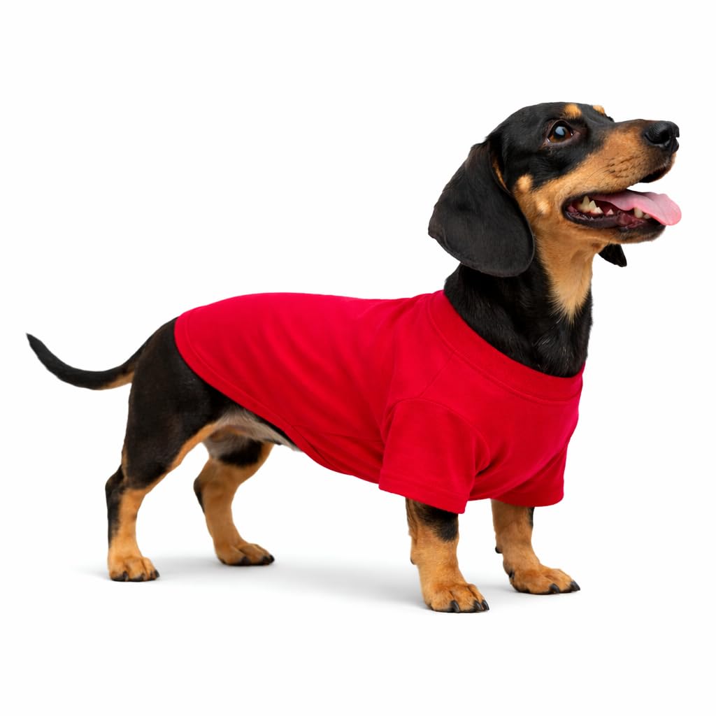 Vêtements pour chiens teckels Lovelonglong en coton de qualité