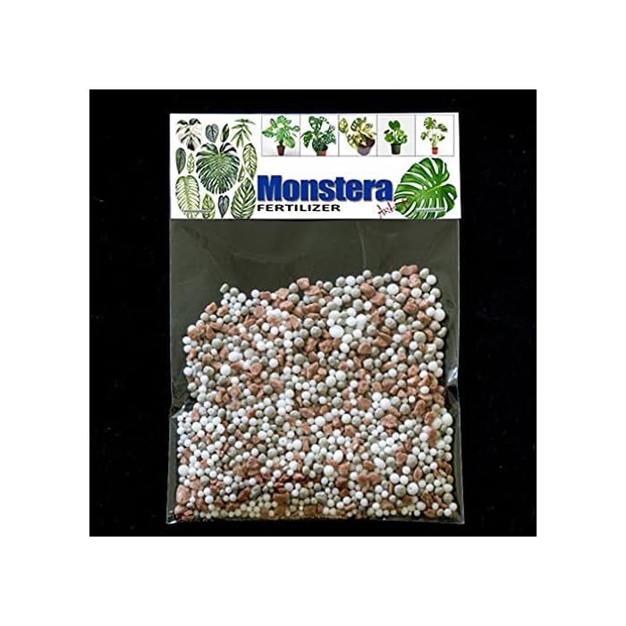 Buy Monstera NPK Fertilizer Monstera deliciosa enough for 20 liters