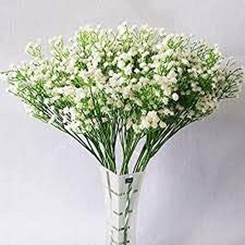 PLANTOGALLERY Gypsophila Good Germination Mixed Color Flower Seeds (1) (PL-0SEED71) (B07YLWB4KJ) Amazon Price History, Amazon Price Tracker