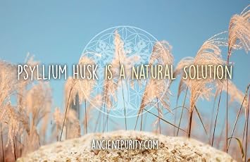 Psyllium Husk | Whole Natural Soluble Fibre Digestive Regularity Heart and Blood Sugar Support - Ancient Purity 350g