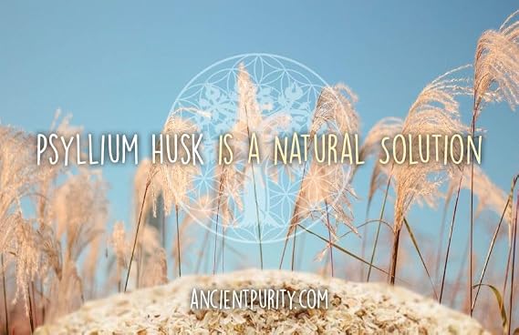 Psyllium Husk | Whole Natural Soluble Fibre Digestive Regularity Heart and Blood Sugar Support - Ancient Purity 350g