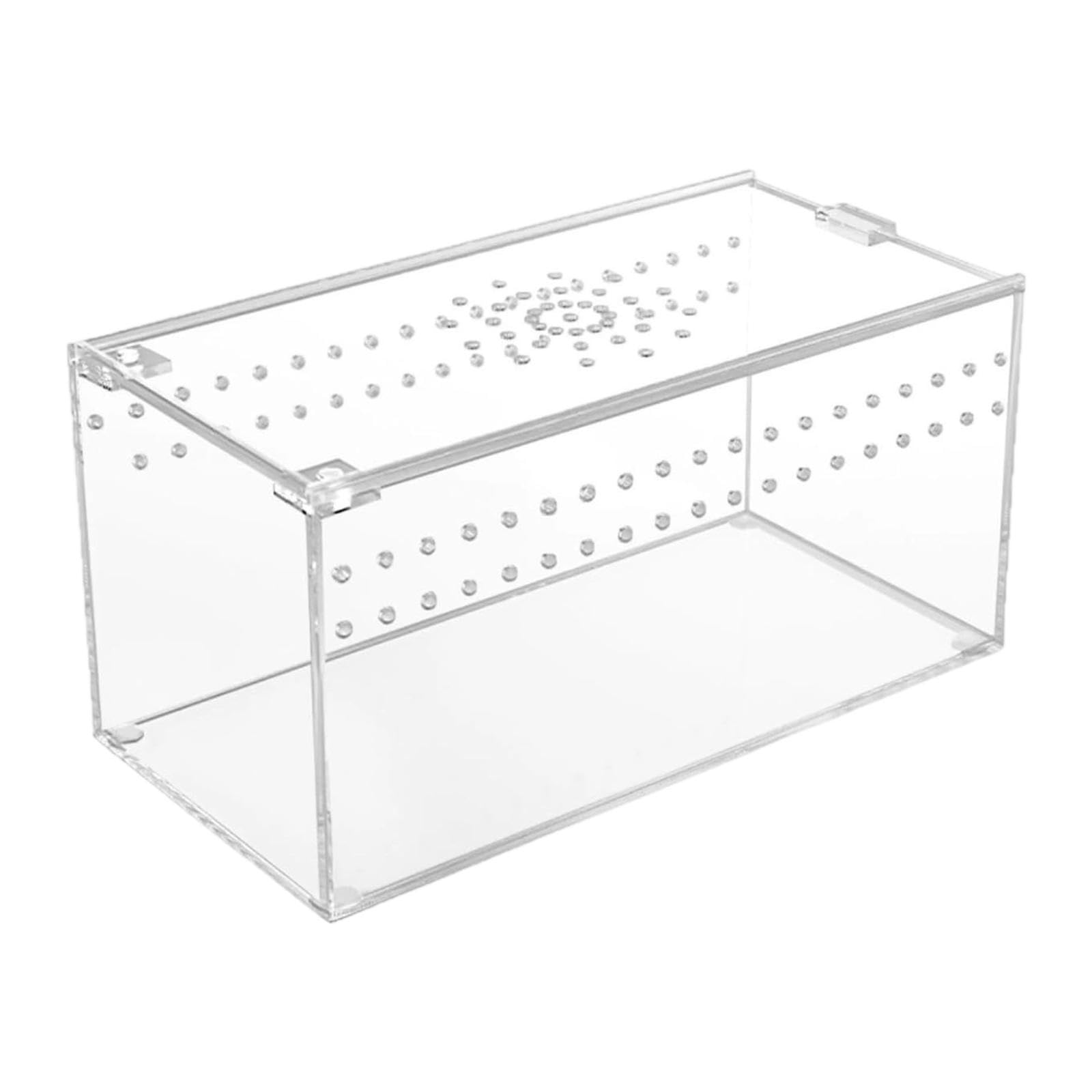 Terrarium pour reptiles léger et respirant avec cage acrylique ventilée