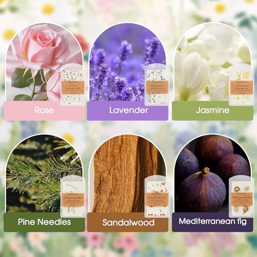 Image of SCENTORINI Wax Melts, 6 Pack Summer Scented Wax Cubes for Wax Warmer | Soy Wax Melts Tarts with Natural Dried Flower & Highly Scented Essential Oil, Candle Wax Gift Set for Home Fragrance