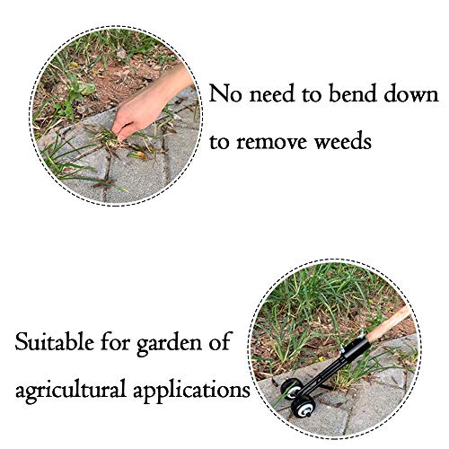 Hawthor Weeder Tool for Garden, Manual Weeds Snatcher, Crack and Crevice Weeding Tool, Weed Puller Tool, Weed Cleaning Tool Garden Tools for Patio Backyard (Straight Hook)