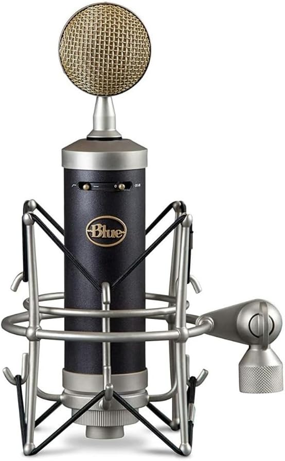 Blue Microphone Baby Bottle XLRCardioid Condenser Microphone for Recording, Streaming, Podcasting, Gaming, Mic with Large Diaphragm Cardioid Capsule, Shockmount & Protective Case