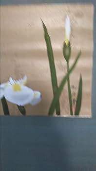 Amazon.co.jp: 作品速水御舟「菖蒲」掛け軸 絹本工芸画 真作保証