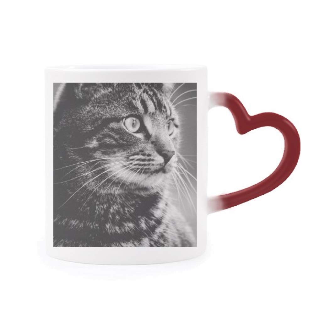 Taza de cerámica mágica termosensible con diseño de gato y taza corazón