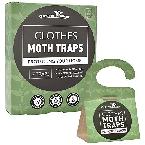 10 best moth traps for clothes for 2020