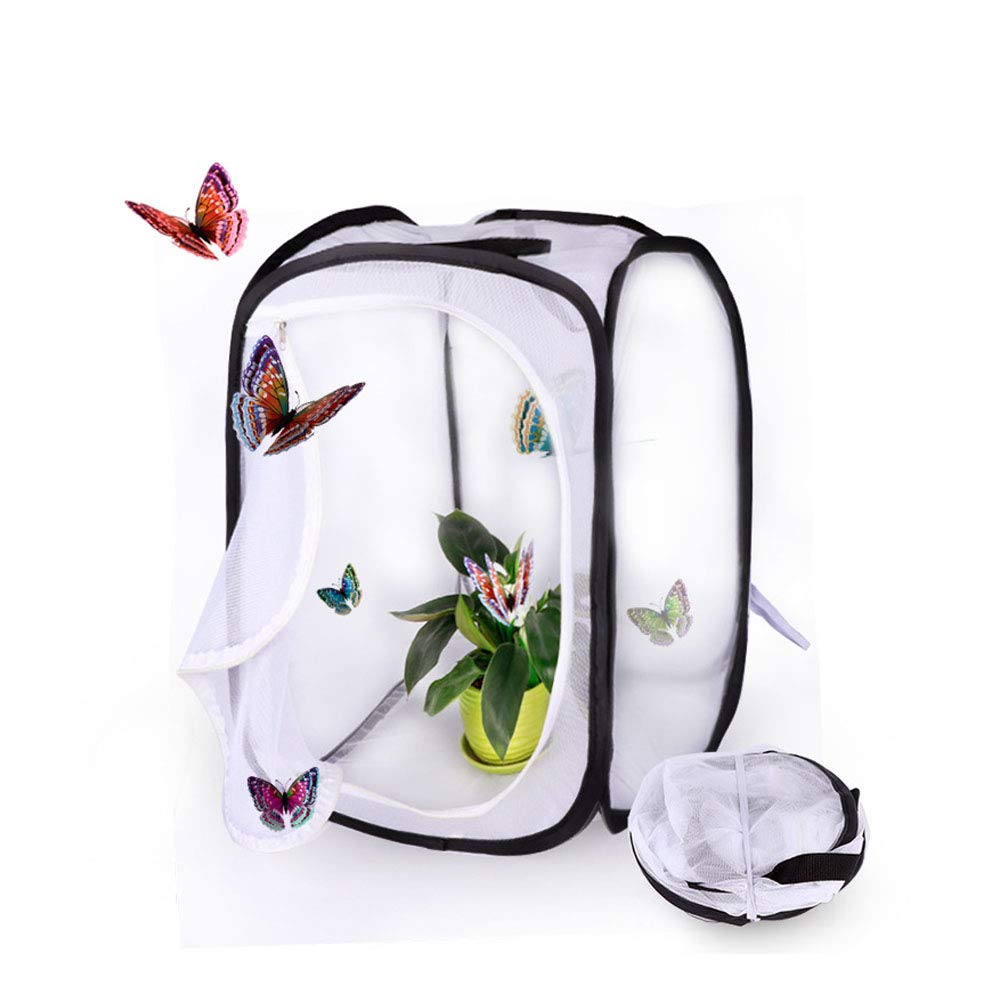 Amazon | EC Grow 昆虫育成テント 昆虫飼育箱 昆虫ケース 昆虫 かご