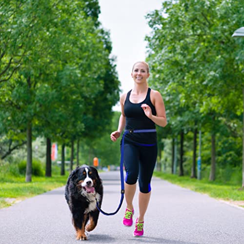 Kruz Pet Kzv2072-05L 6 Ft Bungee Leash – Wearable Jogging Leash – Over The Shoulder Hands Free Leash – Strong Reflective Heavy Duty Safety Leash With Locking Carabiner Clip, Large, Gray #TOP3