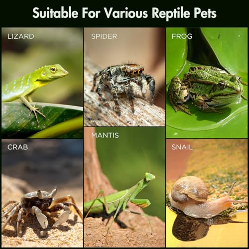 Image of Acrylic Reptile Terrarium, Pre-Assembled Tarantula Enclosure with All-Side Ventilation & Magnetic Door, Tank for Spider, Gecko, Mantis, Frog, Snail, Isopods, 12 inchx7 inchx7 inch (Tweezer & Hygrometer Included)