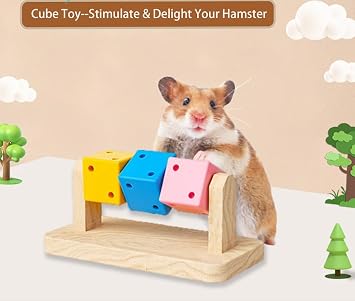 Acrylic hamster cage with accessories exercise wheel water bottle platform hide-out bath tub