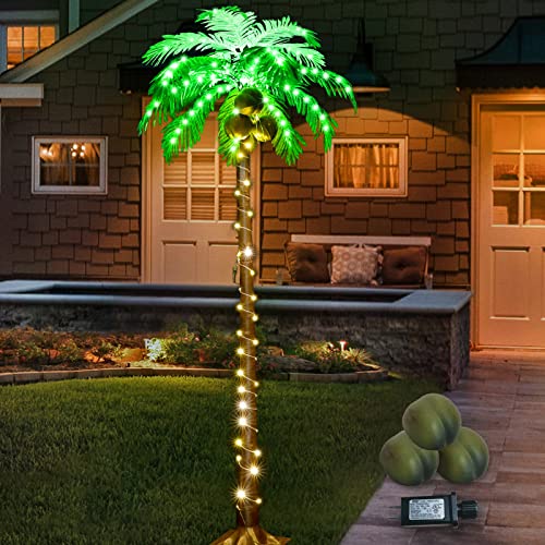 Reviews y listado de Palmera coco plumoso precio disponible en línea para comprar. 2