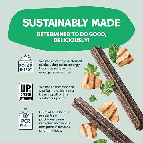 Image of Shameless Pets Chicken & Mint Dental Chews for Dogs, 32 Chews - Natural Dog Teeth Cleaning Treats with Fresh Breath Benefits | Grain-Free Dental Sticks for Small, Medium & Large Dogs