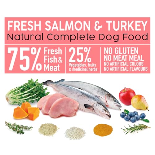 Arquivet Fresh Lachs & Türkei 10 kg Halbfeuchtfutter mit Lachs und Truthahn – Ansicht 3
