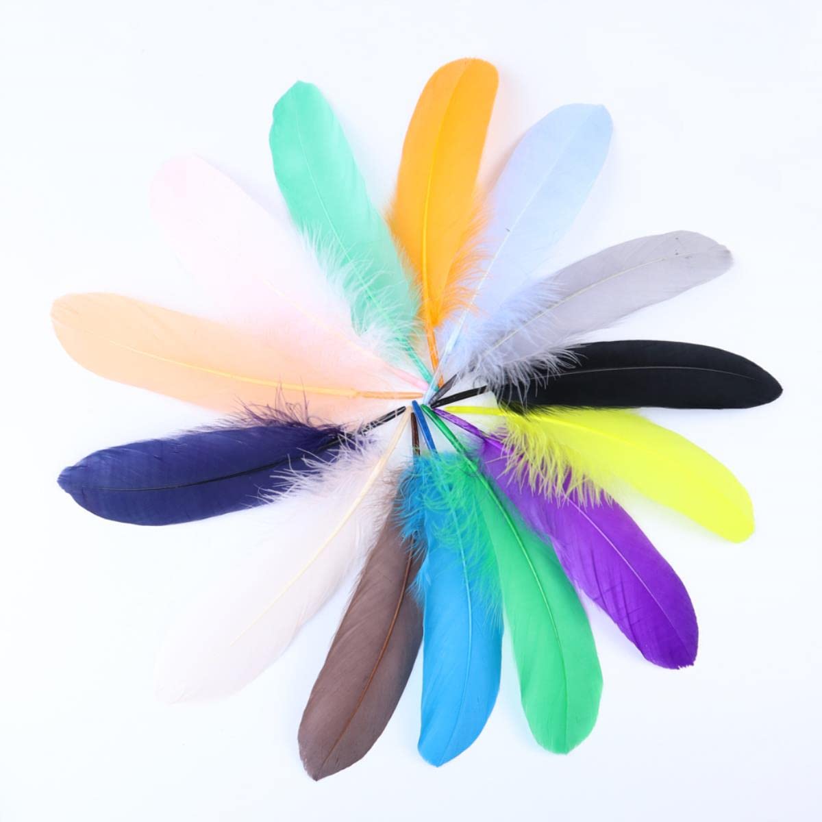 ERGEOB® Echte große Gänsefedern mit 15-22cm Federnlänge - 100 Stück pro ERGEOB® Echte große Gänsefedern mit 15-22cm Federnlänge - 100 Stück pro