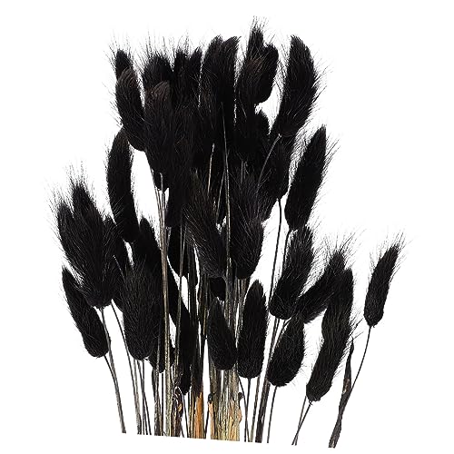 60 colas de conejo secas para decoración floral miniatura 1