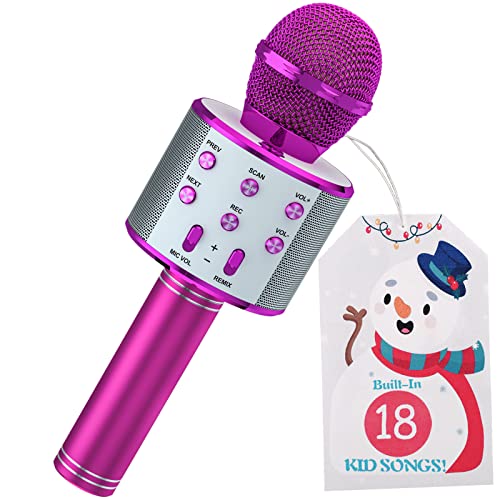 Find The Best Karaoke Microphone With Songs Reviews & Comparison Katynel