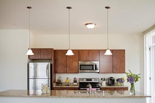 Design House 511634 Millbridge Traditional 1-Light Indoor Dimmable Mini Pendant With Alabaster Glass Shade For Kitchen Island Bar thumb #4
