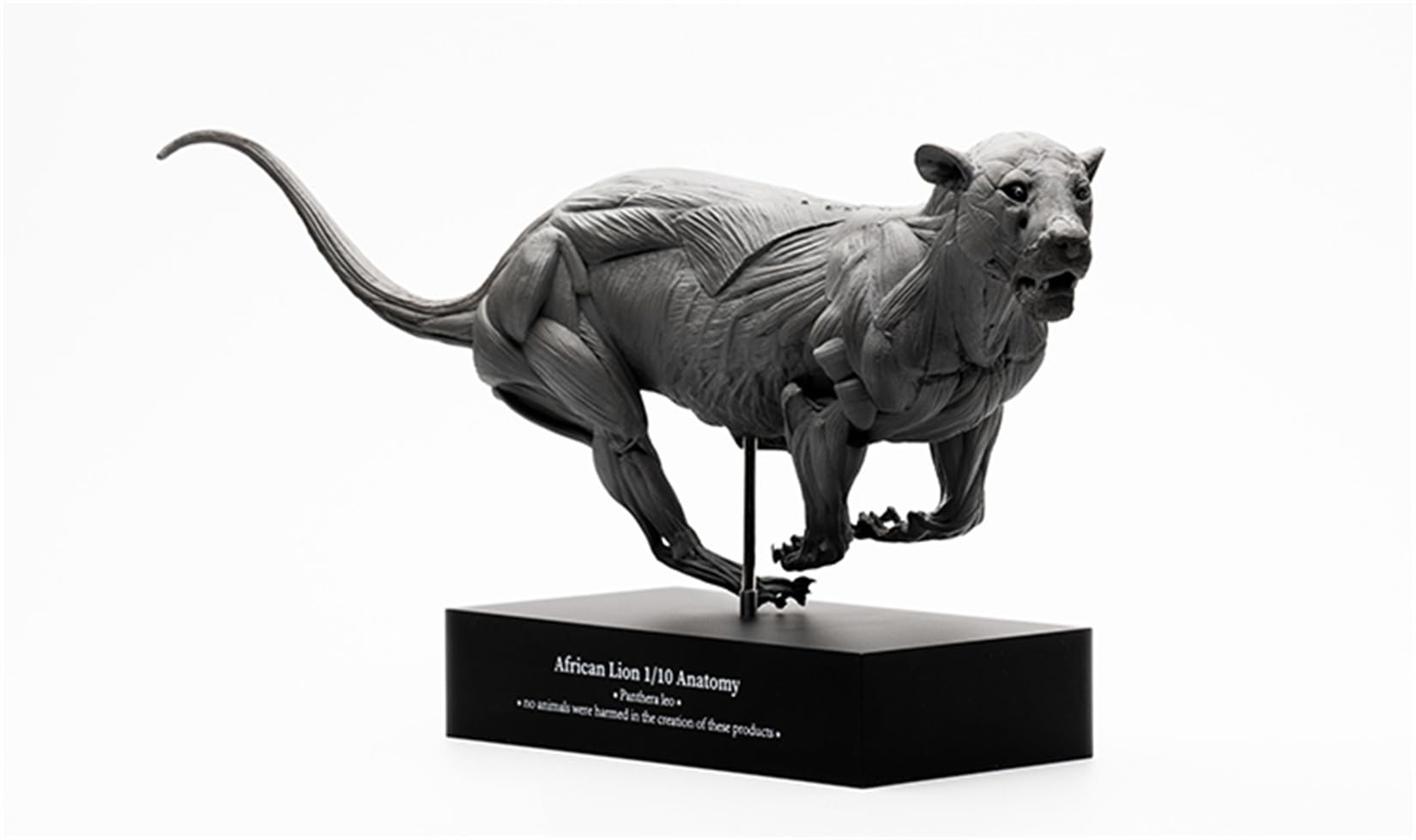 Amazon.co.jp: BACALYSO | EVO 1/10 サイズ ライオン 獅