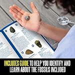 Educational Insights GeoSafari Fossil Excavation Kit, Kids Science Kit, Dinosaur Science Toy, Ages 7+