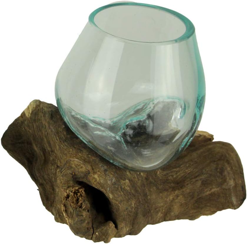 Things2Die4 Molten Glass On Teak Driftwood Decorative BowlVaseTerrarium Planter, One Size