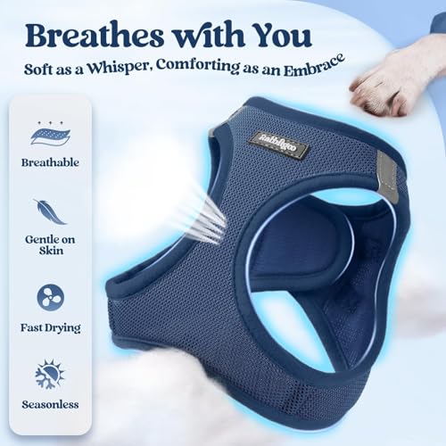 Image of rabbitgoo Dog Harness Small Sized and Leash Set, Step-in Puppy Pet Vest