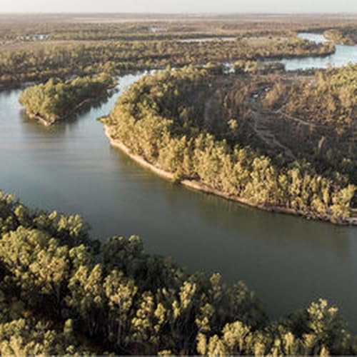 The MDBA makes grim warning on the future of the Murray-Darling Basin