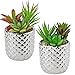 Produktbild Briful Künstliche Sukkulente Zimmerpflanze Dekorative Badezimmer Pflanzen Mini Kunstpflanze im Keramiktopf Deko Wohnzimmer, 2er Set